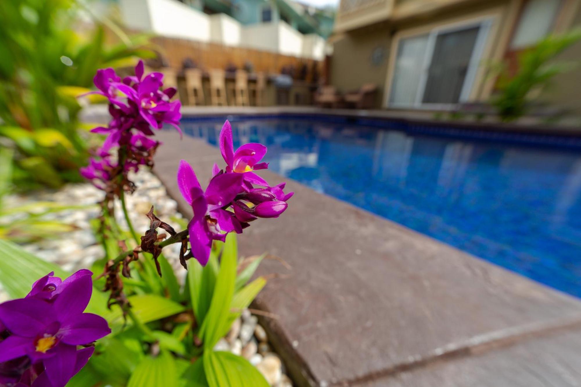 Plumeria Suite, 2-Bedrooms, Sleeps 6, Pool & Bbq, Pre-Renovation Summer Sale Kihei Luaran gambar